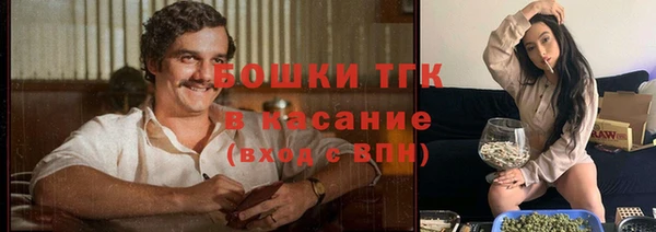 хмурый Богородицк