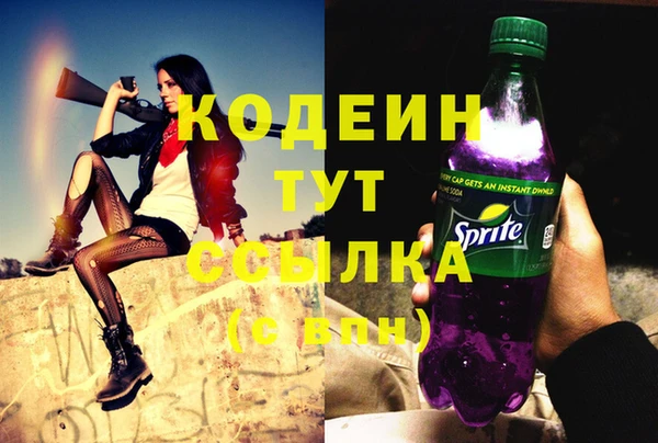 хмурый Богородицк